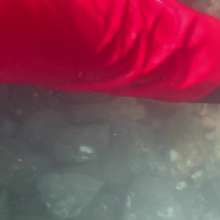 Wet_look_elena: Red Latex Pants in the Sea