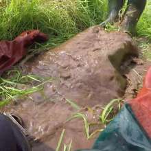 WetandMuddy: Video 57--Stakes and Ladders