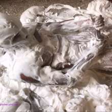 RevSlymsford: Rafa and His Close Friend Get Covered In Pies: Bundle