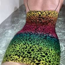 soakedkitty: Soaked Rainbow Kitten