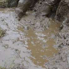 MudTradie: Discreet English forest/woodland mud spots?