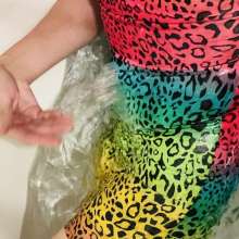 soakedkitty: Soaked Rainbow Kitten