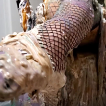 MessyMissMarie: Messy Miss Marie Back in Slime!