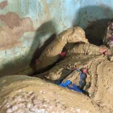 very-wet: Brenda Likes Mud, Part 2