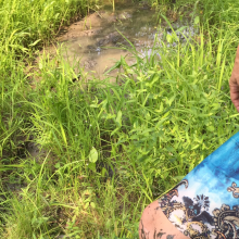 MessyQcCouple: My girlfriend and I had muddy fun outdoor