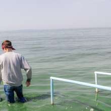 Wet Live Team: Exclusively on the Beach Andrii Blindfold!  Bathing Blindly