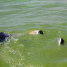 Wet Live Team: Exclusively on the Beach Andrii Blindfold!  Bathing Blindly