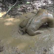 Jayce: Getting Mucky in Kentucky!  My Favorite Mud to Date!  2021!