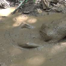 Jayce: Getting Mucky in Kentucky!  My Favorite Mud to Date!  2021!