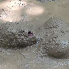 Jayce: Getting Mucky in Kentucky!  My Favorite Mud to Date!  2021!