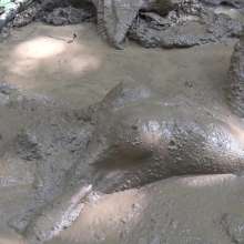 Jayce: Getting Mucky in Kentucky!  My Favorite Mud to Date!  2021!