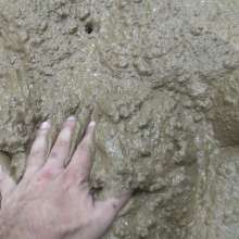 Jayce: Getting Mucky in Kentucky!  My Favorite Mud to Date!  2021!
