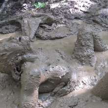 Jayce: Getting Mucky in Kentucky!  My Favorite Mud to Date!  2021!