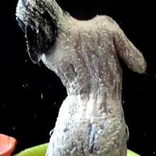 RevSlymsford: Messy Jessie Covers Topless Dede In Porridge