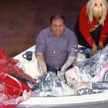 mad_mick_at: Brasilian latenight-show: gunge-filled bathtub interviews