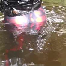 WetandMuddy: Video 76--Walking on Sunshine
