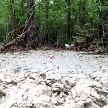 KinkyCosplayer: Wallowing In Mud ASMR