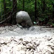 KinkyCosplayer: Wallowing In Mud ASMR