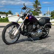 Dirty Muse: Just picked up a new bike