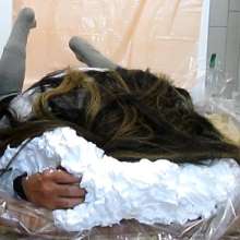 messycharlotte: Another shaving cream bath