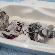 Your Wet Cat: 150 Liters of Slime on My Hot Body