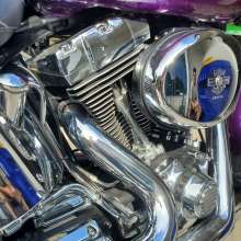 Dirty Muse: Just picked up a new bike