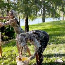 Alana SexyMessyBabes: Babes Cookout Pie Fight!