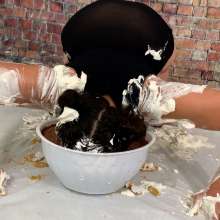 Messygirl: Two New Messygirl Downloads featuring Betty and Jasmine