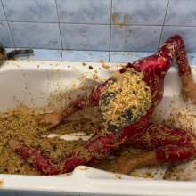 Your Wet Cat: Completely Covered with 20 Liters of Slop, a Crazy Mess!