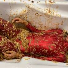 Your Wet Cat: Completely Covered with 20 Liters of Slop, a Crazy Mess!