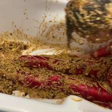 Your Wet Cat: Completely Covered with 20 Liters of Slop, a Crazy Mess!