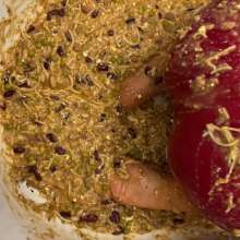 Your Wet Cat: Completely Covered with 20 Liters of Slop, a Crazy Mess!
