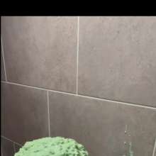 bizopp713: Debra Gets Slimed