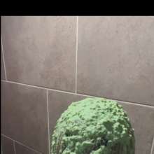 bizopp713: Debra Gets Slimed