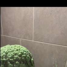 bizopp713: Debra Gets Slimed