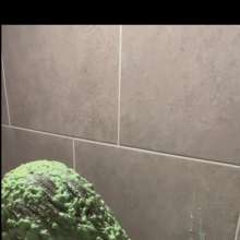 bizopp713: Debra Gets Slimed