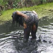 WSMProductions: Dee in Muddy Duck Pond