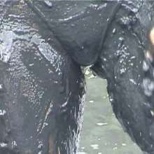 WSMProductions: Dee in Muddy Duck Pond