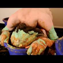 RevSlymsford: Kaydens Has More Gross Savoury Head Dunking Fun
