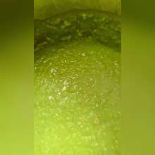 Slimed Models: LaRae Slimed for the First Time (Re-Release)