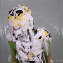 Miss Nicole: Marsha's First Time Ever Getting Pied and Slimed (4K Uhd)