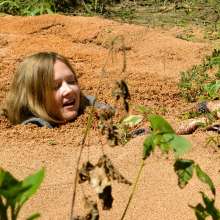dlodoski: Secretary in Quicksand--Star (photos)