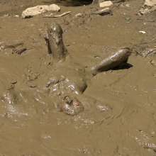 Jayce: Creamy, Deep Mud-w My dildo-hunters-public+rinse off!