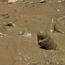 Jayce: Creamy, Deep Mud-w My dildo-hunters-public+rinse off!