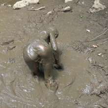 Jayce: Creamy, Deep Mud-w My dildo-hunters-public+rinse off!