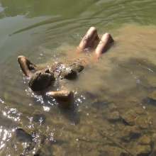 Jayce: Creamy, Deep Mud-w My dildo-hunters-public+rinse off!