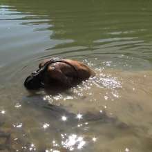 Jayce: Creamy, Deep Mud-w My dildo-hunters-public+rinse off!