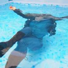 WAM Photography: WAM Photography--Maryna dives for her phone