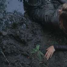 Your Wet Cat: Total Mess in the Swamp, I'm up to My Ears in Mud