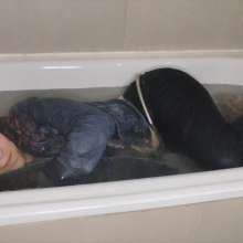 lovingmessy4you: Wetlook in the Bathtub Wearing Jean Jacket and Socks